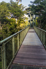 Obraz premium Canopy observation tower in Rainforest Discovery Centre in Sepilok, Sabah, Malaysia