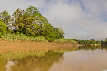 Shores of Kinabatangan river, Sabah, Malaysia