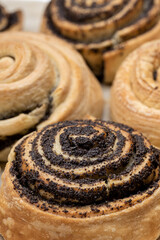 puff pastry with poppy seeds on a plate. close up view. various of a tasty pastry. homemade baking concept. background backdrop. studio shot