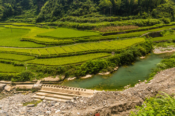 Fototapeta na wymiar Paddy fields near Dehang Miao village, Hunan province, China