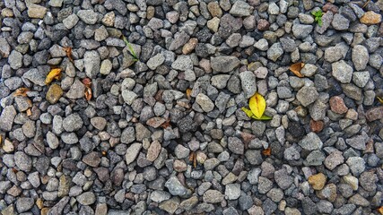 background of stones