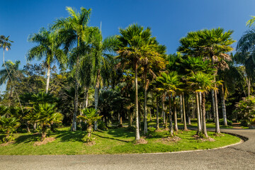 Fototapeta premium National Botanical Garden in Santo Domingo, capital of Dominican Republic.