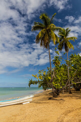 Beach in Las Terrenas, Dominican Republic