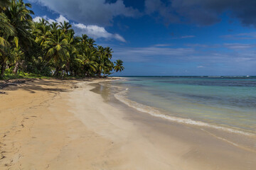 Fototapeta na wymiar Palms on a beach in Las Terrenas, Dominican Republic