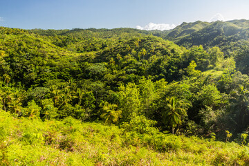 Fototapeta na wymiar Landscape of Samana peninsula, Dominican Republic