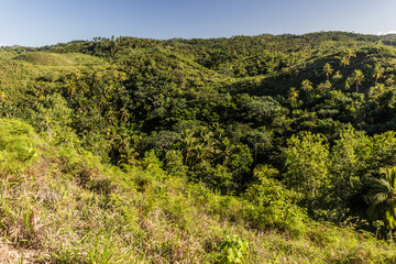 Landscape of Samana peninsula, Dominican Republic
