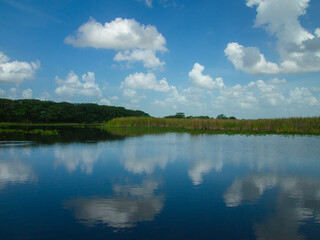 A Beautiful view of Everglades Swamp on Summer