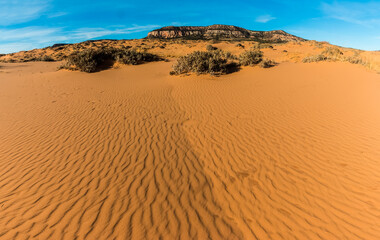 Wind Blown Sand Dunes With The White Cliffs In The Distance, Coral Pink Sand Dunes State Park, Utah, USA