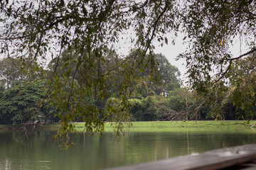 Lake view side relaxing in nature