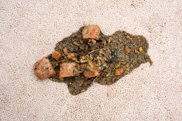 Dog vomit or throw up on a white carpet.  It's horizontal but can be vertical and has copy space.