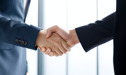 Professional businessman making handshake for deal, agreement and successful concept