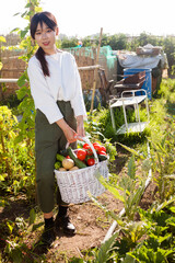 Asian female gardener holding basket full of vegetable harvest on plantation