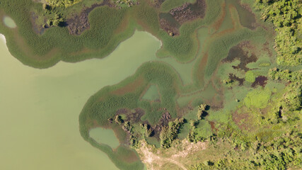 swamp in the forest view from drone. wetland landscape. View of an impassable swamp from height. Aerial photography Wild forest landscape.