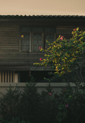 old house in the autumn