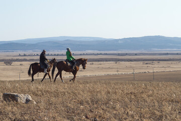 Business trip on horseback