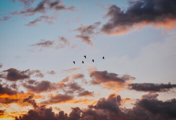 sunset in the sky