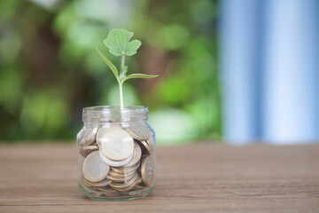 A seedling grows from a glass jar full of euro coins