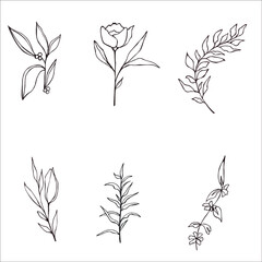 flowers by lines-flower clipart-botany plants - for design design-for logo