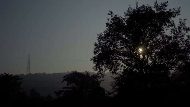 care pov from side window moving trees sunset sunrise Mumbai India thane Maharashtra.