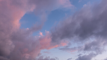 Evening sky. Against a blue background, beautiful pink and lilac cumulus clouds are illuminated by the setting sun. Full screen.