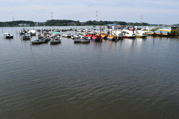 Fototapeta premium 手賀沼（てがぬま）／ 千葉県北部にある手賀沼は、柏市、我孫子市、白井市、印西市にまたがる利根川水系の湖沼です。北の水域を手賀沼（上沼）、南の水域を下手賀沼（下沼）と言われています。