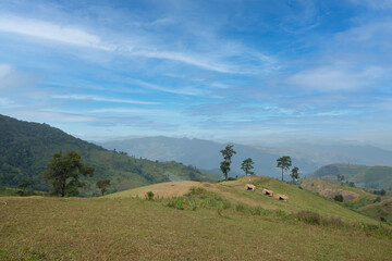 landscape with mountains and clouds