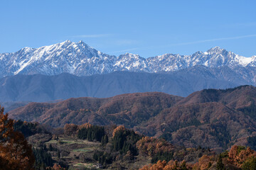 Naklejka premium 山の紅葉