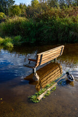 Fototapeta na wymiar Wooden bench on the flooded shore of Larson Lake, reflections of blue sky and clouds 