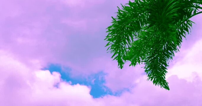 Palm tree leaves blowing by the wind on a background of a velvet psychedelic sky