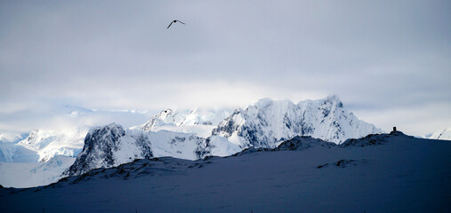 Icebergs and snow capped mountains in the Antarctic Peninsula after passing the Lemaire Channel in...