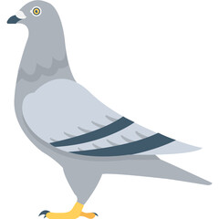 
Pigeon Flat Vector Icon
