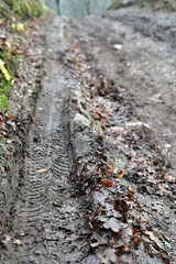 Dirt road in forest with clay mud with cracks and ruts