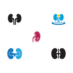 Set kidney vector illusrtation design logo template