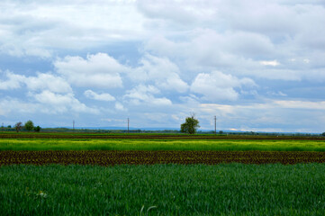 rural landscape with agricultural fields and stormy clouds in the background