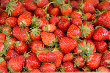 pile of ripe strawberries