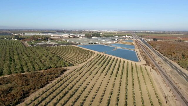 Agriculture Farm Aerial with Field Crops Growing in California