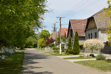 spring in Backi Petrovac, Vojvodina