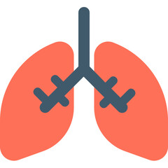 
Lungs Flat Vector Icon
