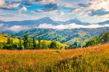 Fototapeta premium Landscape photography Two highest mountains in Carpathians - Hoverla and Petros in the morning mist. Astonishing summer scene of mountain valley, Yasinya location, Ukraine, Europe.