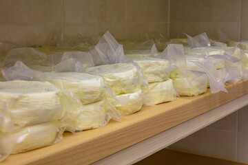 A small family cheese factory in the Carpathian village. Store Rikotta cheese in a refrigerator in...