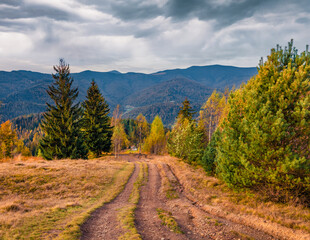 Picturesque evening view of outskirts of popular tourist resort - Yaremche. beautiful autumn scene of Carpathian mountains. Traveling concept background. Landscape photography..