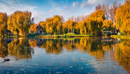 Sunny autumn scene of city park. Calm morning view of orange trees in Ternopil publik square, Ekraine, Europe. Empty shore of city lake. Beauty of nature concept background..
