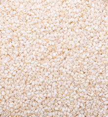 Sesame seeds food background, for backgrounds or textures