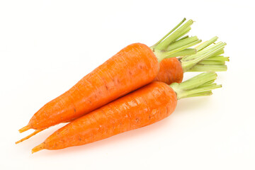 Three Young fresh ripe carrot