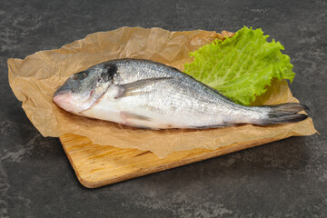 Raw Dorada fish  for cooking