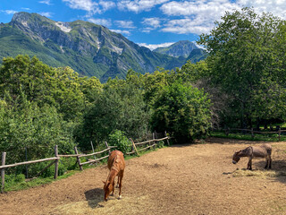 Fototapeta na wymiar Un scorcio dell'alta Versilia sulle Alpi Apuane, sullo sfondo i monti Corchia e Pania della Croce
