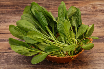Fresh green Spinach leaves heap