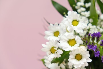 Chamomile flowers. white daisies  on a light pink background. Floral greeting card blank. copy space