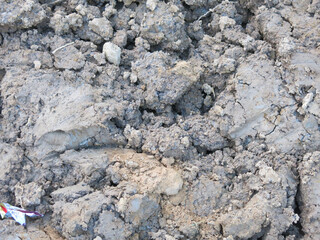 plowed and dug brown soil for background