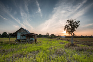 house in the field